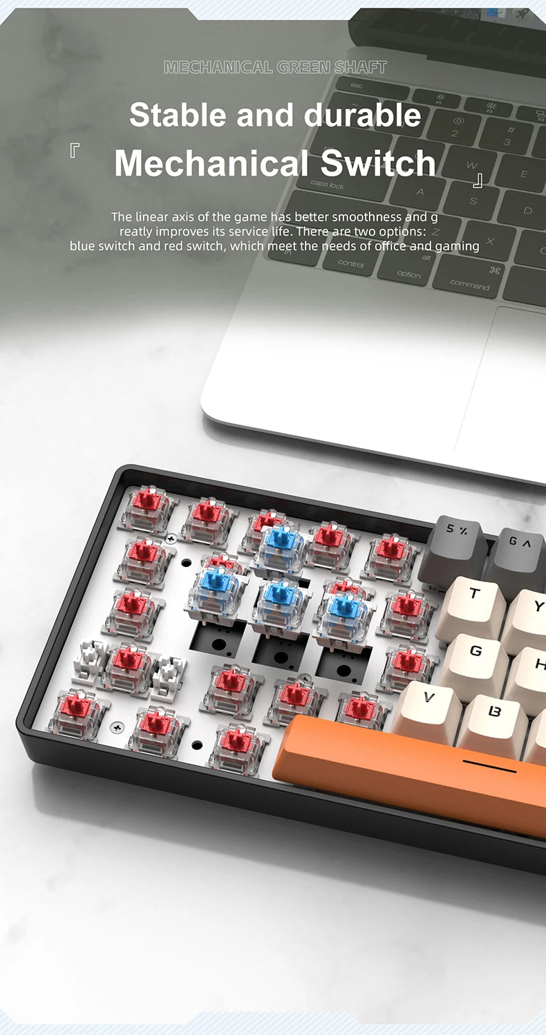APAYADO K61 Mechanical Gaming Keyboard │ 61-Key RGB Wired Keyboard